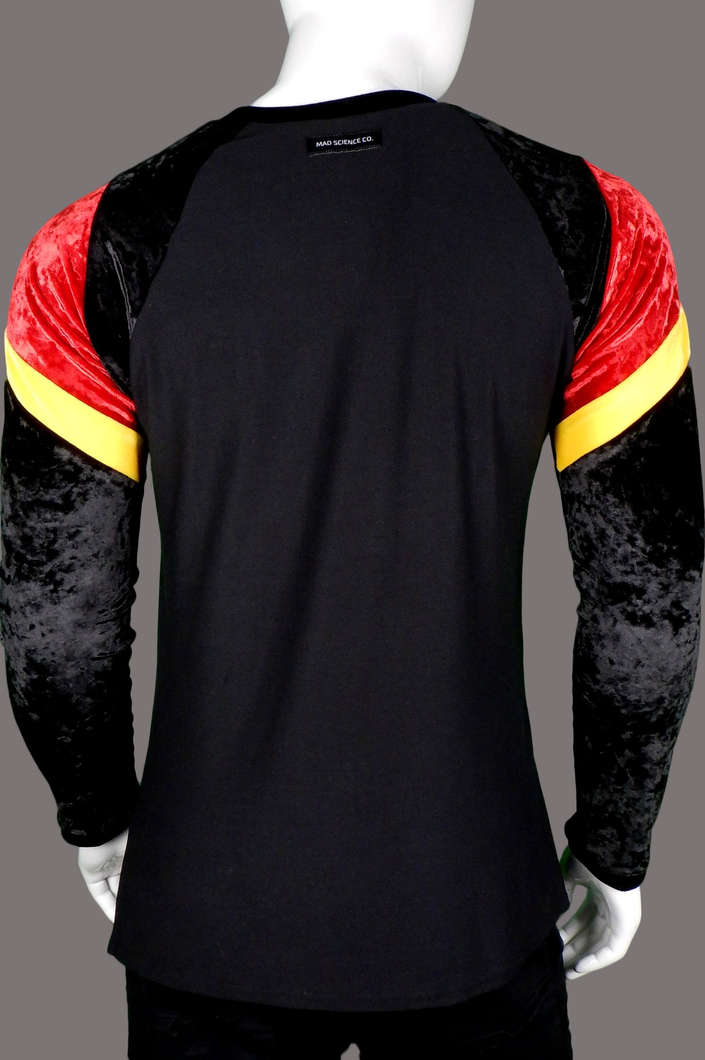 Red-Winged Black Bird Raglan Shirt