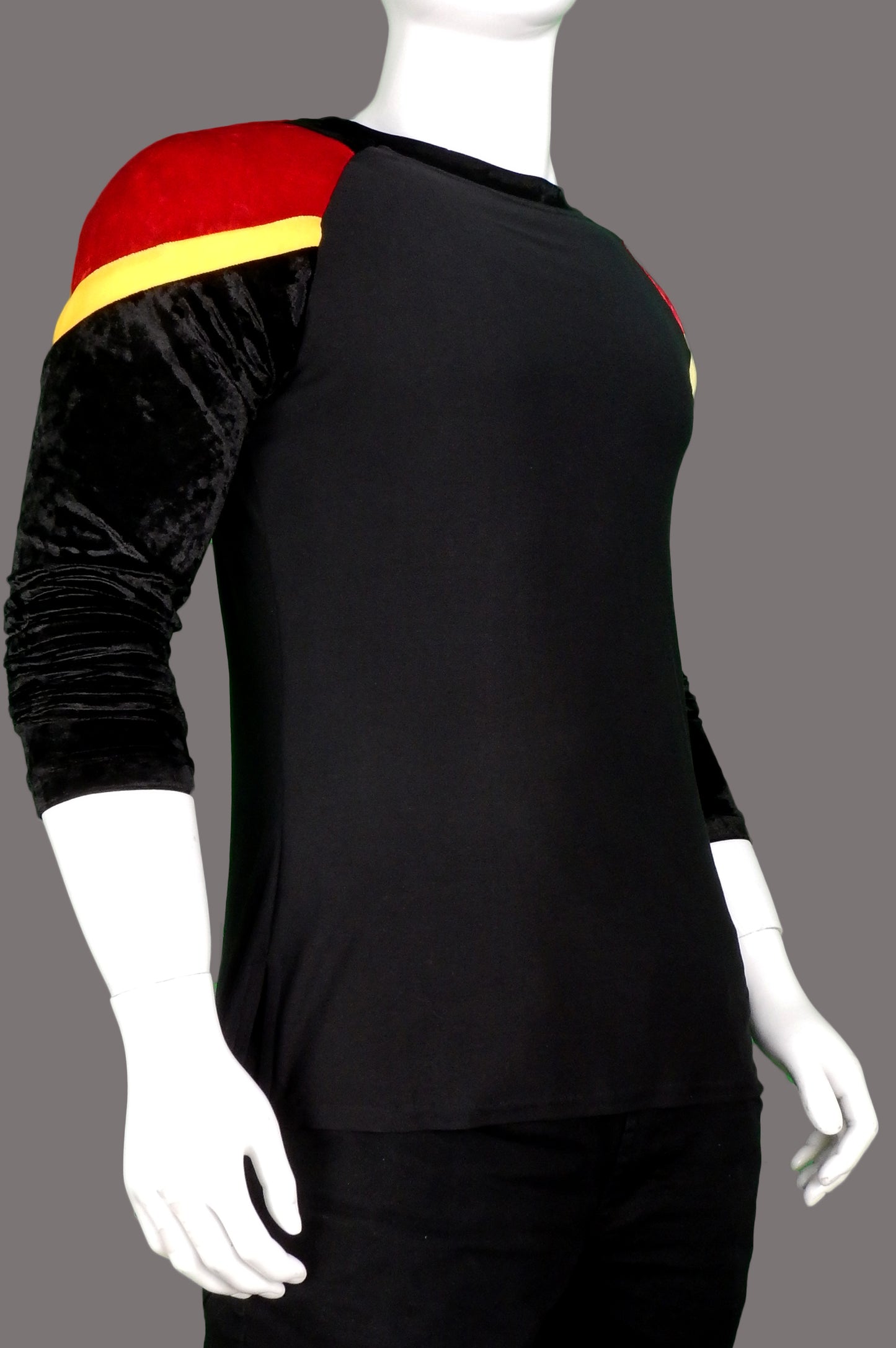 Red-Winged Black Bird Raglan Shirt